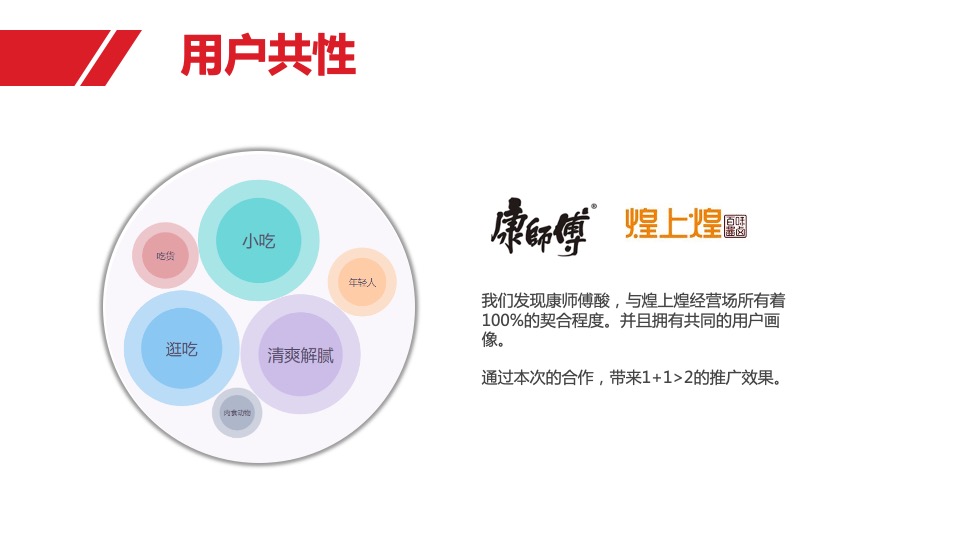 广西康饮CNY营销策划方案