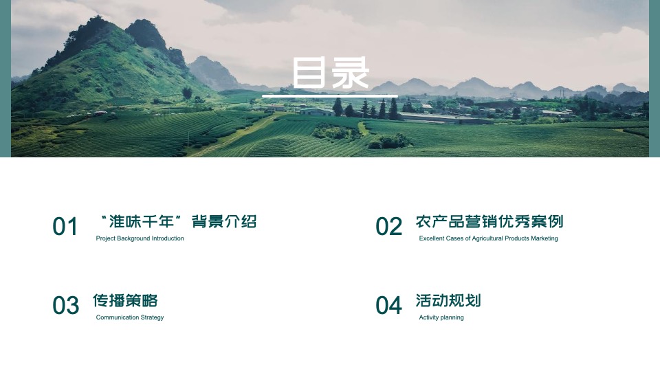 农产品”淮味千年”品牌推广方案