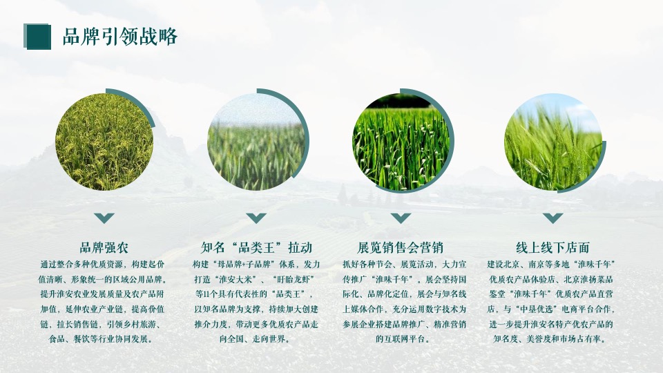 农产品”淮味千年”品牌推广方案