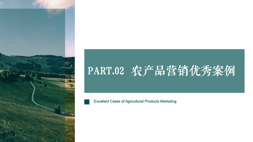 农产品”淮味千年”品牌推广方案