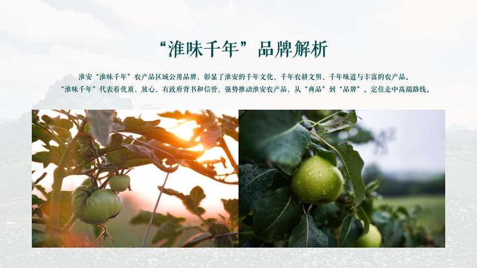 农产品”淮味千年”品牌推广方案