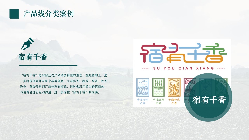 农产品”淮味千年”品牌推广方案