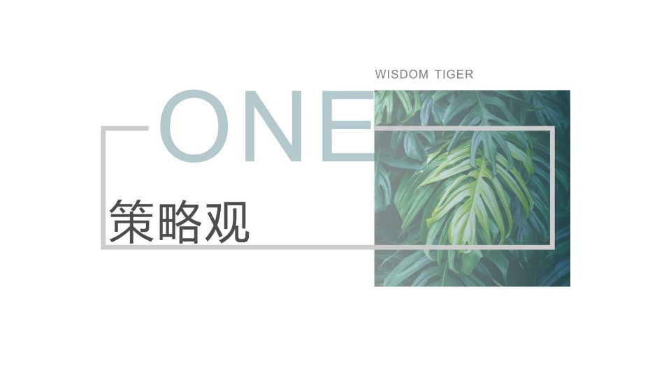 慈溪四季云庭（学府华宅）项目营销故事线提报