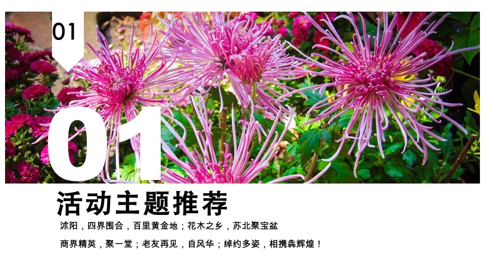 沭阳爱琴海购物公园招商发布会活动方案