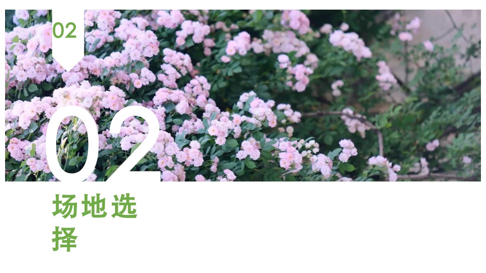 沭阳爱琴海购物公园招商发布会活动方案