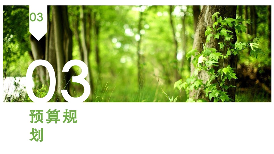 沭阳爱琴海购物公园招商发布会活动方案