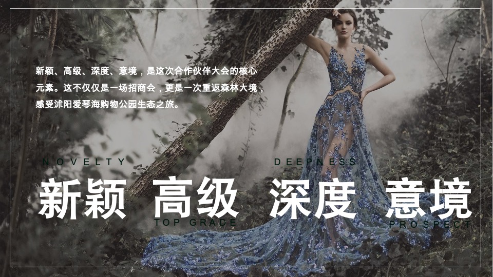 沭阳爱琴海购物公园招商发布会活动方案