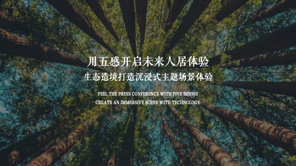 地产项目产品入市发布会（悠然见南山森系主题）活动策划方案