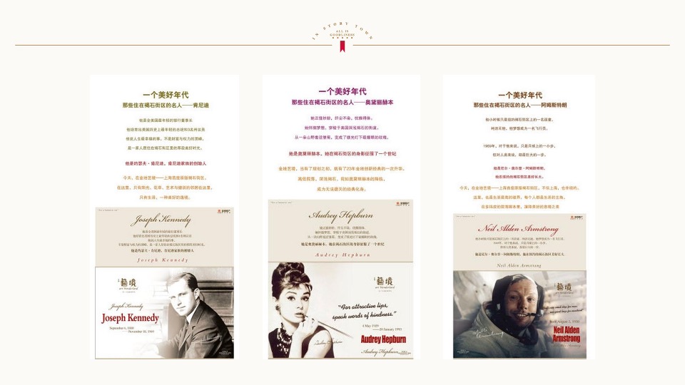 金地褐石洋房推广方案-北京天弈广告