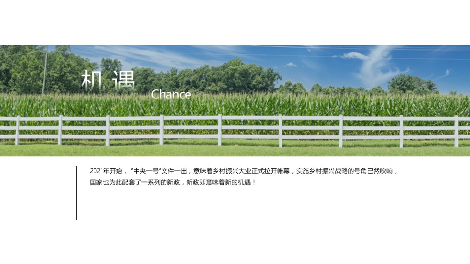 乡村振兴田园项目介绍方案