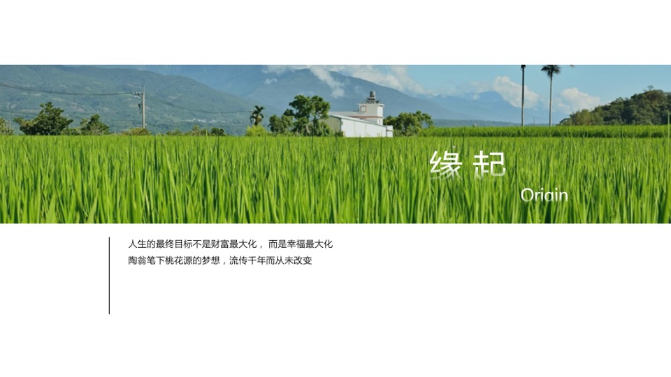 乡村振兴田园项目介绍方案