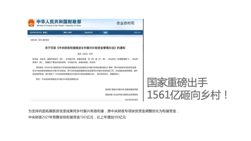 乡村振兴田园项目介绍方案