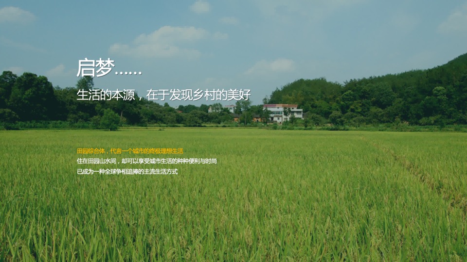 乡村振兴田园项目介绍方案