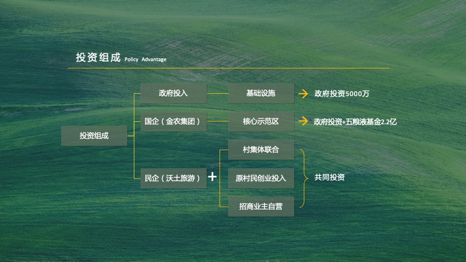 乡村振兴田园项目介绍方案