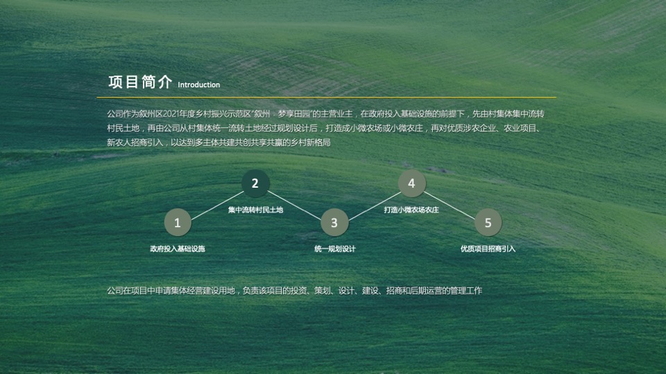 乡村振兴田园项目介绍方案