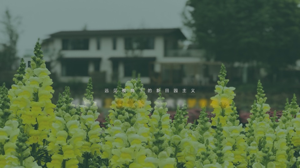 乡村振兴田园项目介绍方案