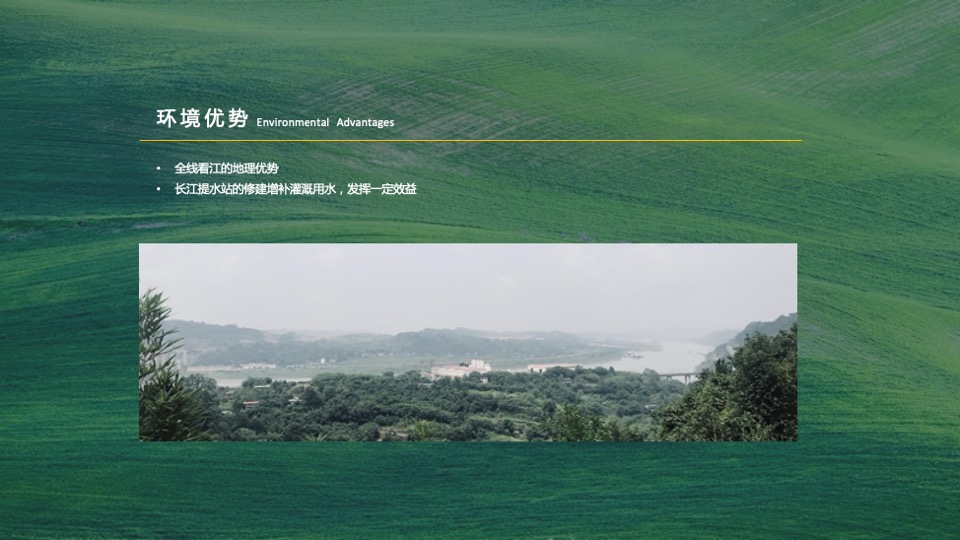 乡村振兴田园项目介绍方案