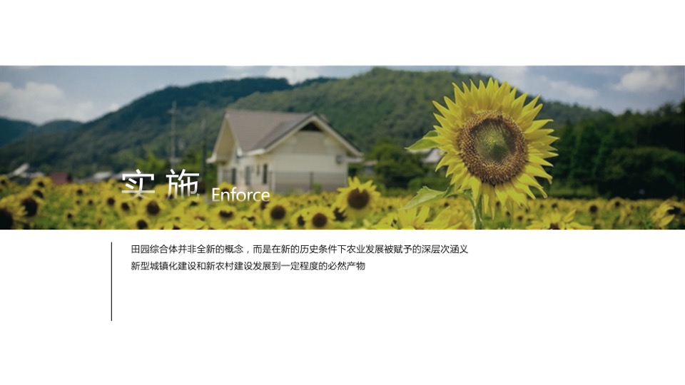 乡村振兴田园项目介绍方案