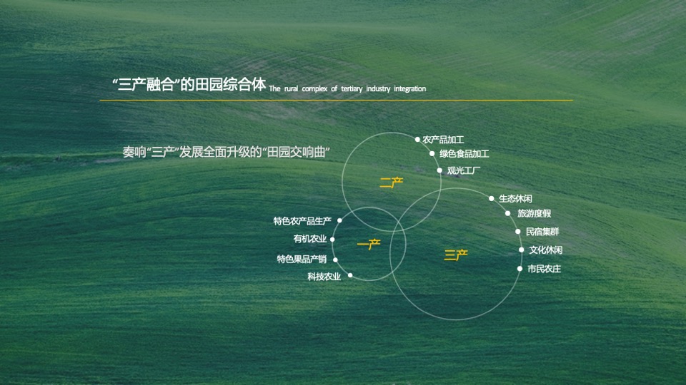 乡村振兴田园项目介绍方案