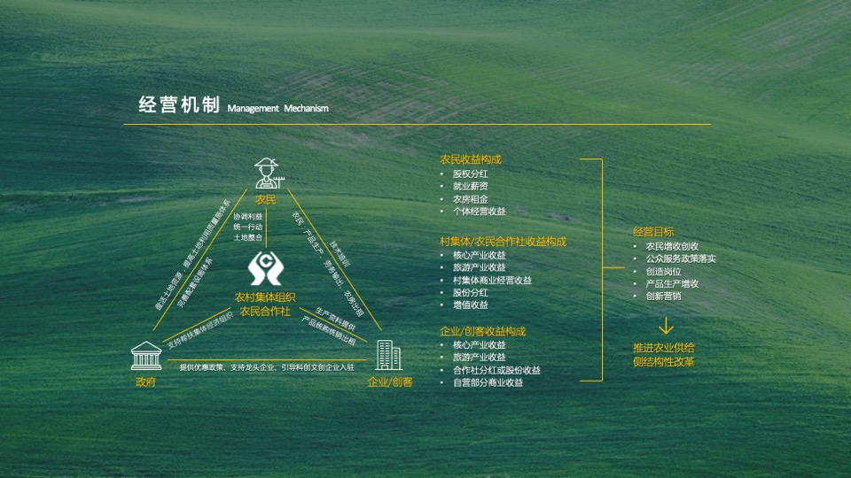 乡村振兴田园项目介绍方案
