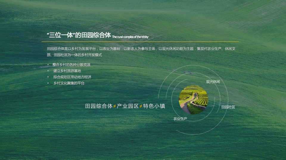 乡村振兴田园项目介绍方案