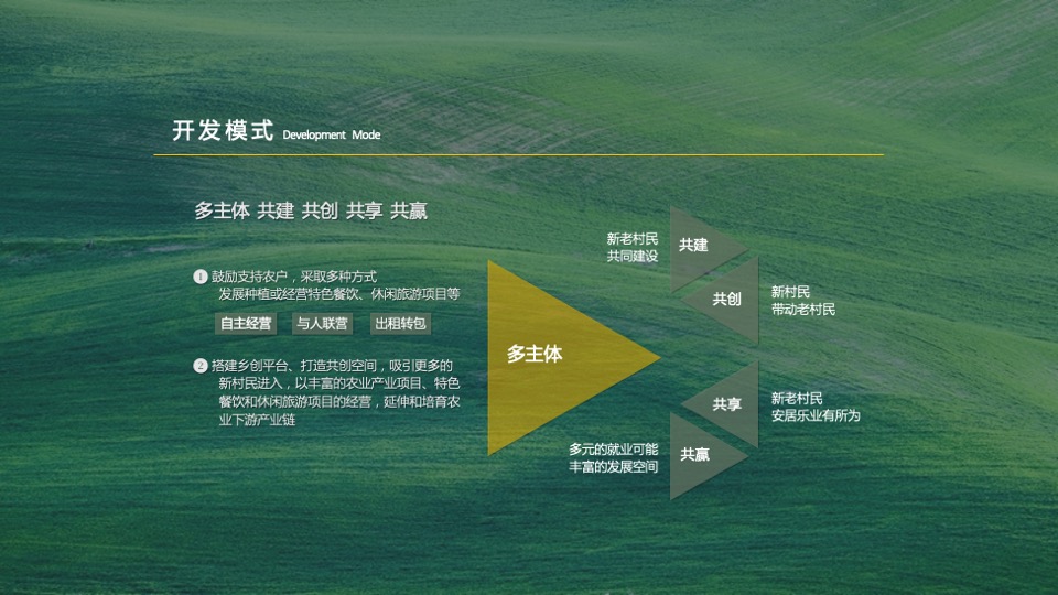 乡村振兴田园项目介绍方案