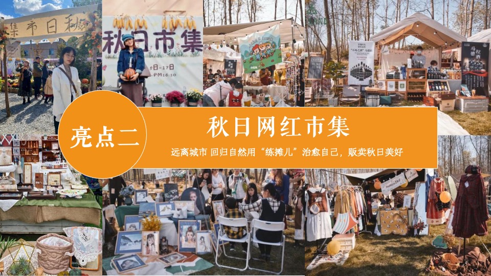 地产项目秋日露营游园会（秋野游园会主题）活动策划方案