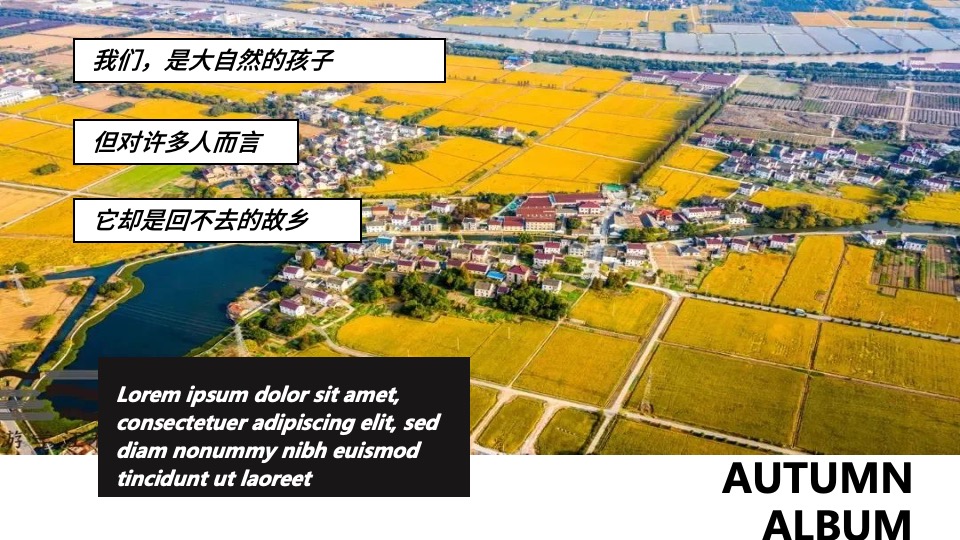 文旅景区秋日田野丰收嘉年华（万物欢喜 乡见秋野主题）活动策划方案