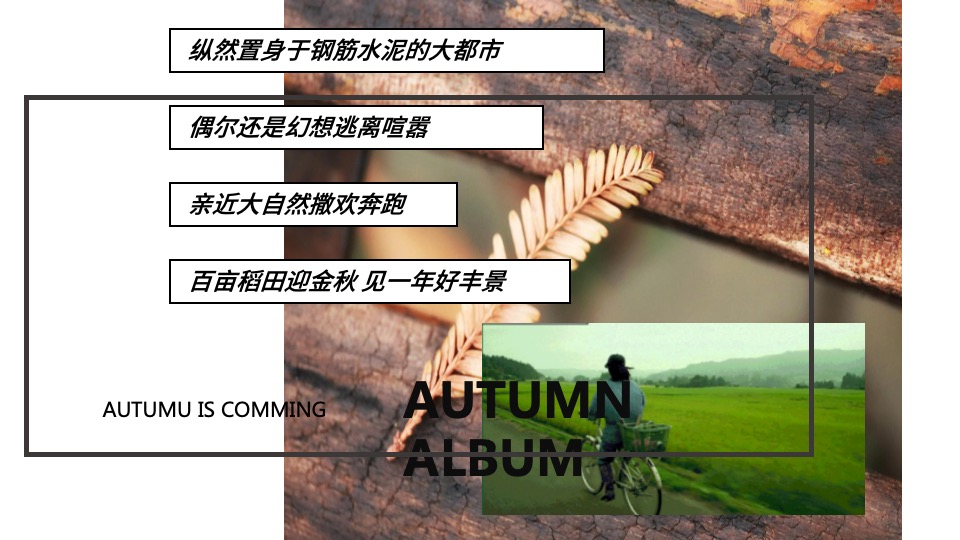 文旅景区秋日田野丰收嘉年华（万物欢喜 乡见秋野主题）活动策划方案