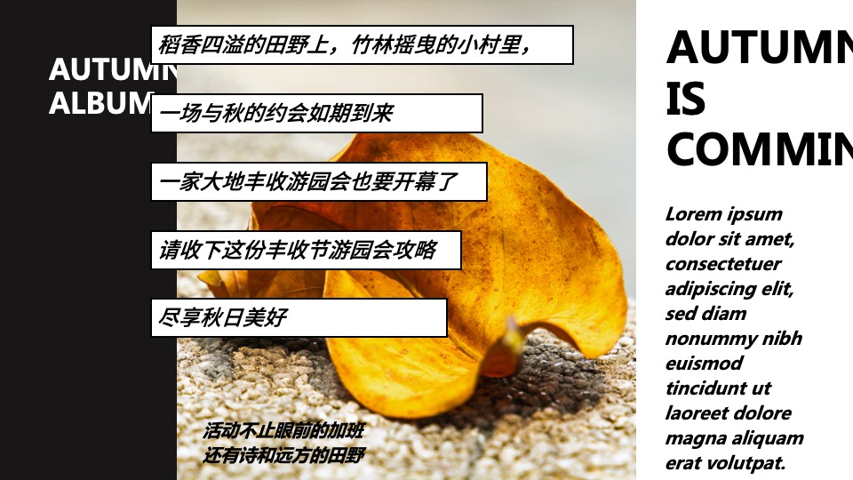 文旅景区秋日田野丰收嘉年华（万物欢喜 乡见秋野主题）活动策划方案