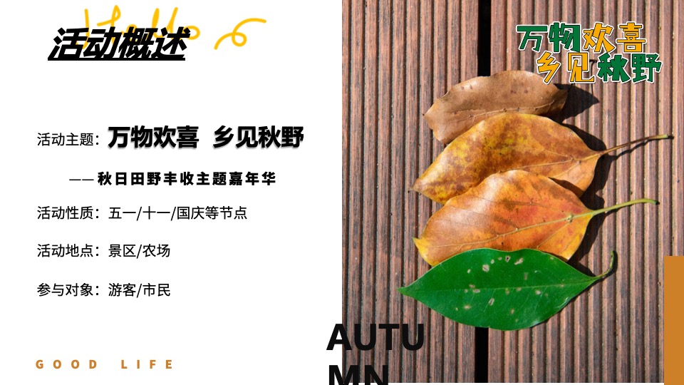文旅景区秋日田野丰收嘉年华（万物欢喜 乡见秋野主题）活动策划方案