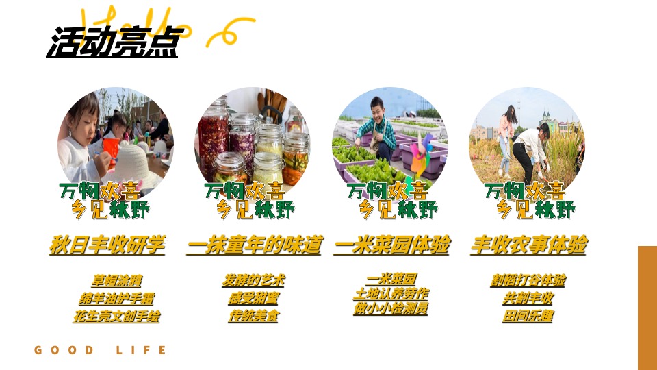 文旅景区秋日田野丰收嘉年华（万物欢喜 乡见秋野主题）活动策划方案