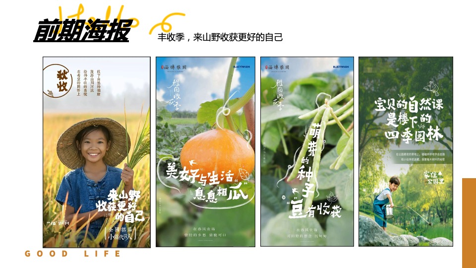 文旅景区秋日田野丰收嘉年华（万物欢喜 乡见秋野主题）活动策划方案