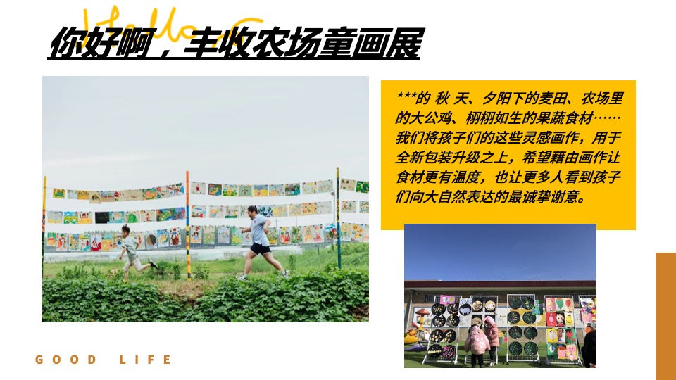 文旅景区秋日田野丰收嘉年华（万物欢喜 乡见秋野主题）活动策划方案