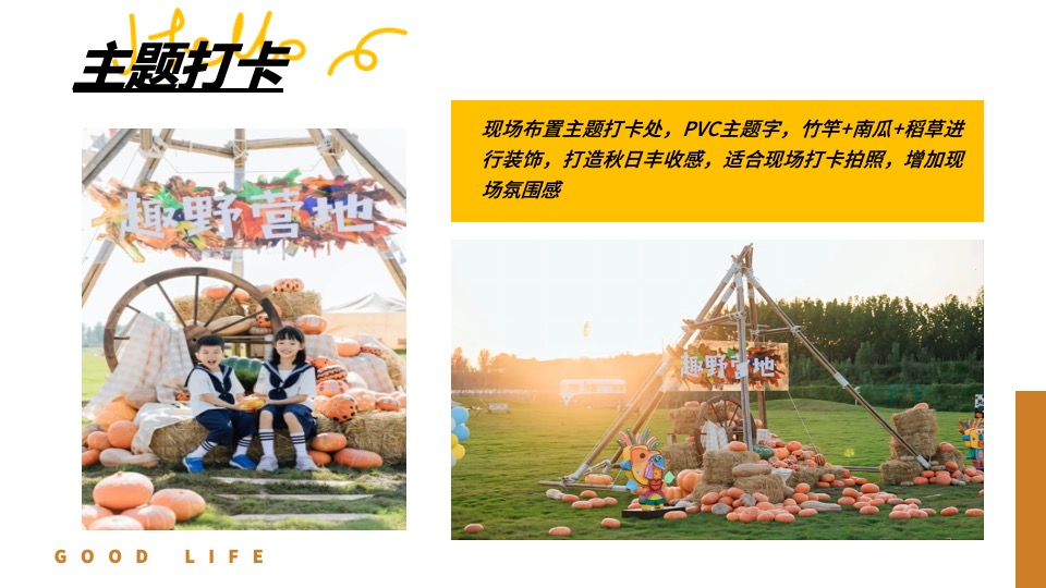 文旅景区秋日田野丰收嘉年华（万物欢喜 乡见秋野主题）活动策划方案