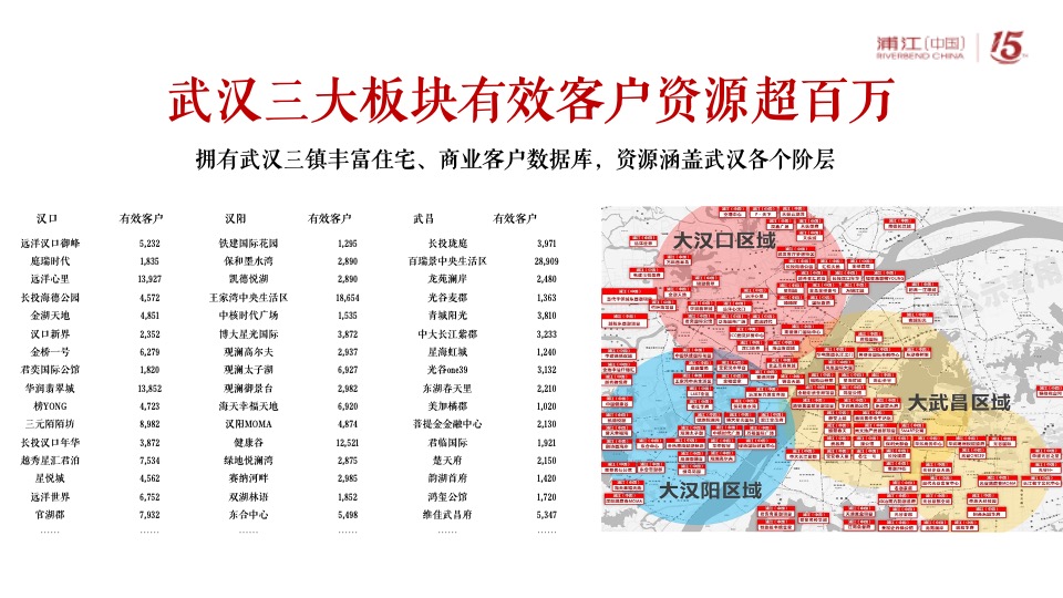 阳逻金茂逸墅营销提报(浦江中国）定