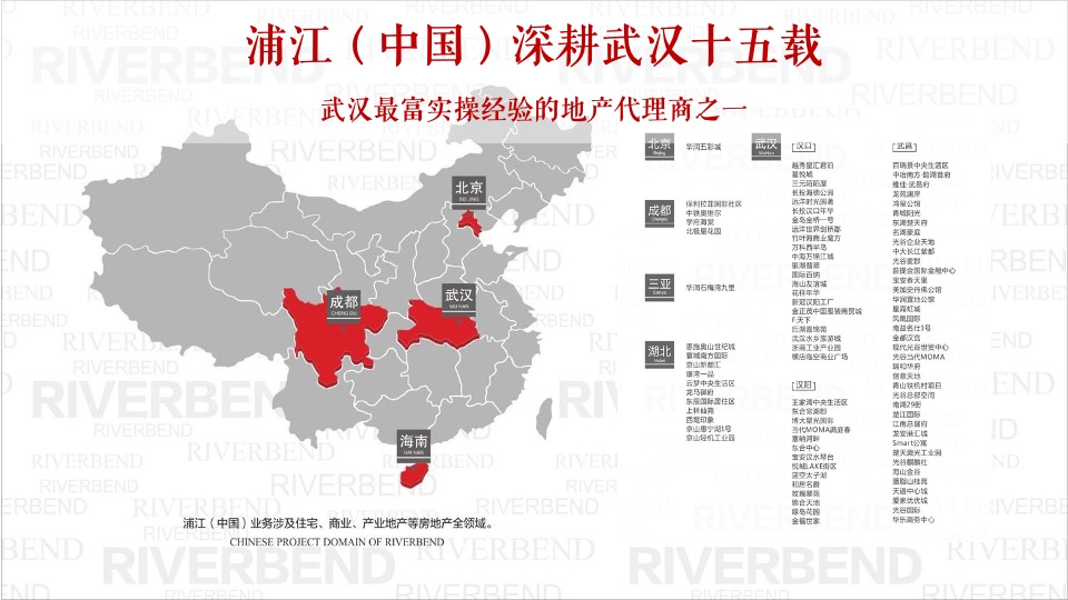 阳逻金茂逸墅营销提报(浦江中国）定