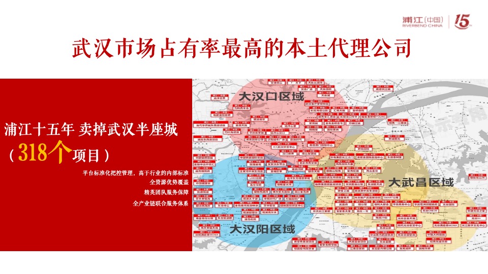 阳逻金茂逸墅营销提报(浦江中国）定