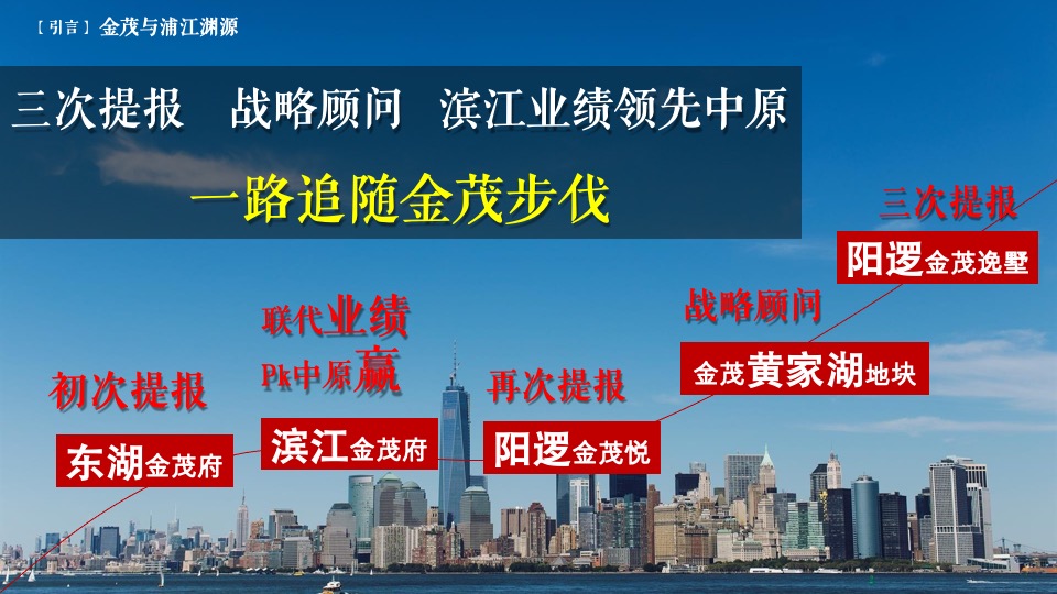 阳逻金茂逸墅营销提报(浦江中国）定