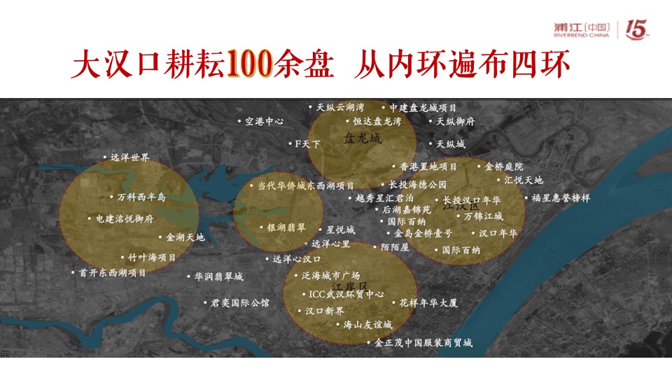 阳逻金茂逸墅营销提报(浦江中国）定