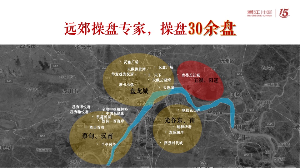 阳逻金茂逸墅营销提报(浦江中国）定