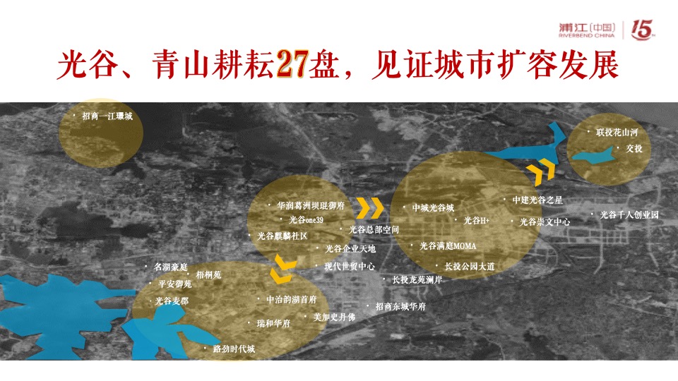 阳逻金茂逸墅营销提报(浦江中国）定