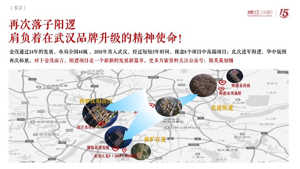 阳逻金茂逸墅营销提报(浦江中国）定