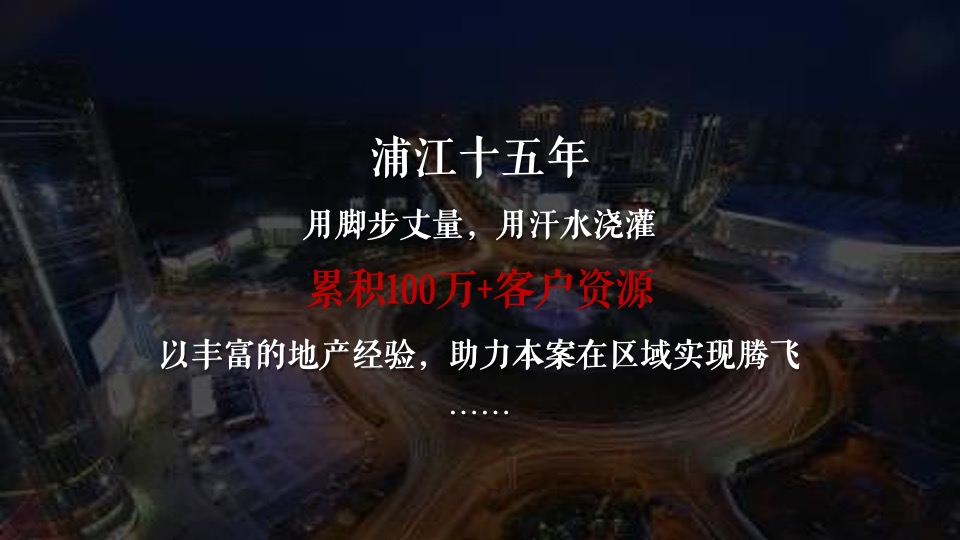 阳逻金茂逸墅营销提报(浦江中国）定