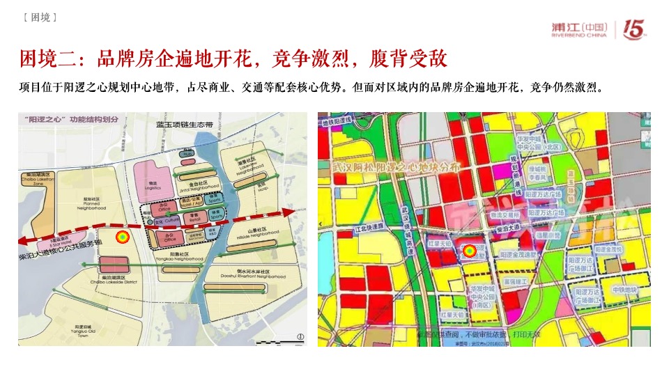 阳逻金茂逸墅营销提报(浦江中国）定