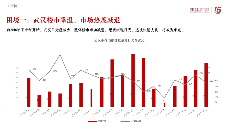 阳逻金茂逸墅营销提报(浦江中国）定