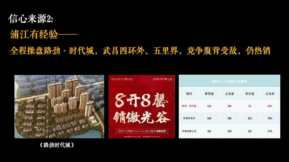 阳逻金茂逸墅营销提报(浦江中国）定