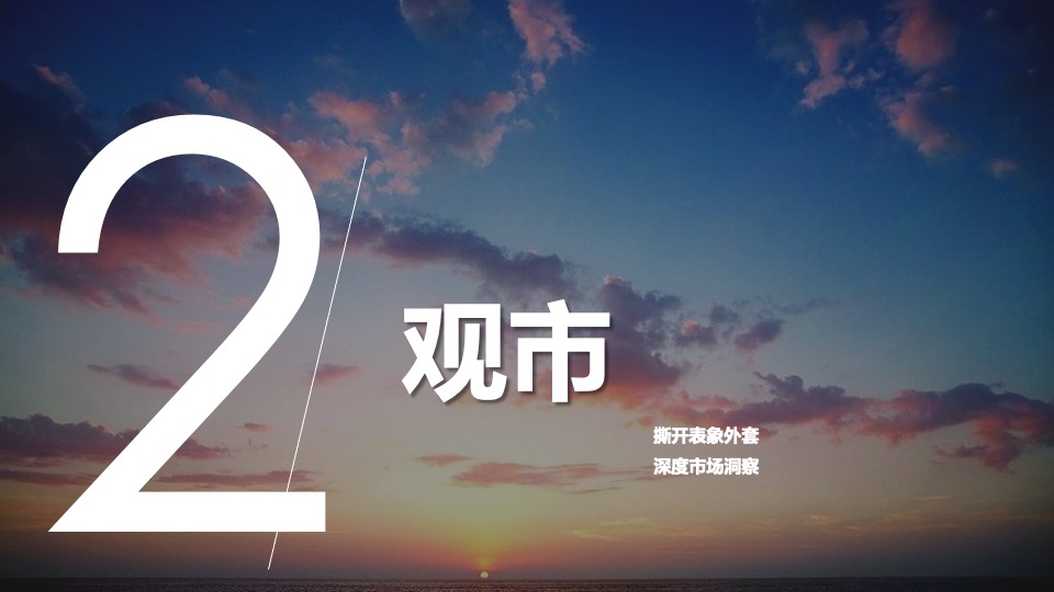 台州碧桂园海棠花苑西侧地块定位及一城多碧营销报告