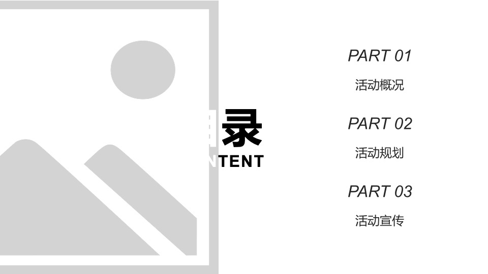 乡村文化旅游节（舞动青春 最美乡村主题）活动执行方案