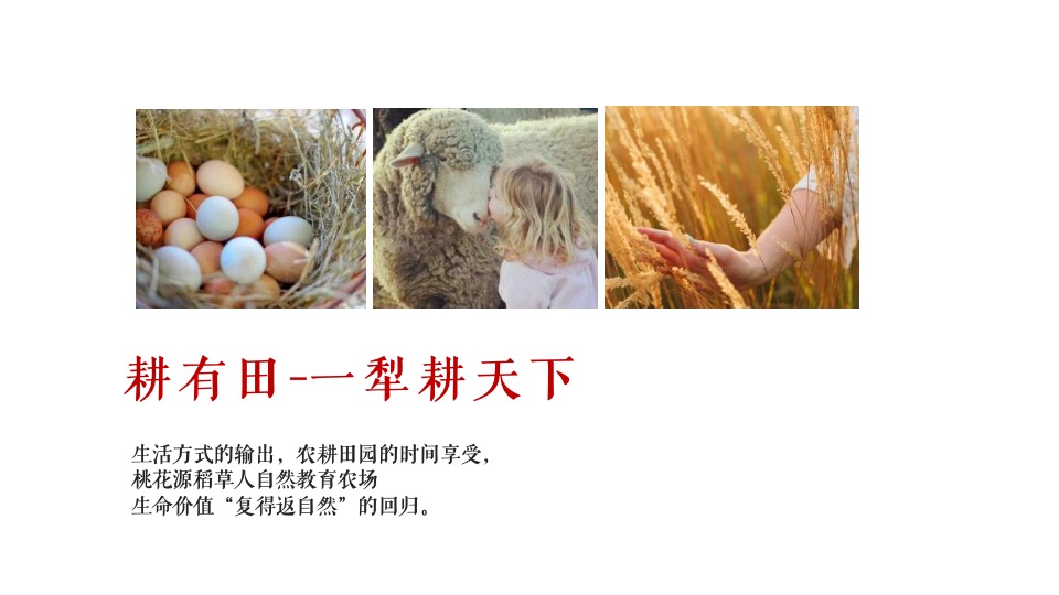 文旅小镇全年暖场活动策划方案